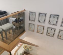 -谜秀韩式半永久纹眉纹绣洗眉