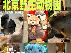 -北京野生动物园