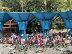 -西双版纳原始森林公园