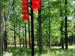 -东平国家森林公园