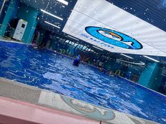-Swim斯卫姆国际儿童游泳中心(红博中央公园店)