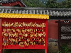 -阳台山自然风景区