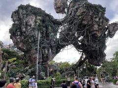 -奥兰多迪士尼动物王国乐园