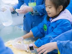 -中国大熊猫保护研究中心雅安碧峰峡基地