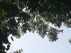 -首都医科大学附属北京同仁医院(西区)