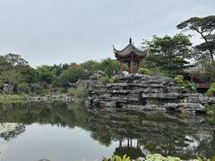 -顺峰山公园