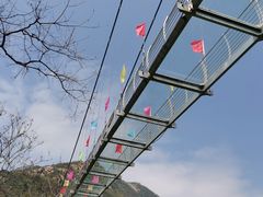 -木兰云雾山