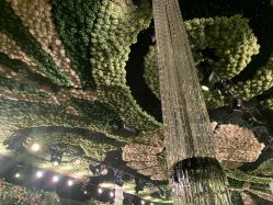 -格乐利雅婚礼艺术中心(南外滩店)