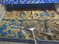 -天天鱼港·海鲜·鲅鱼水饺·招牌烤鸭(黄骅店)