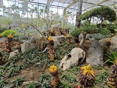 -南通洲际绿博园