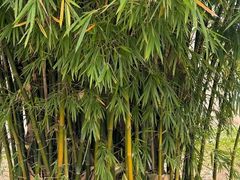 -秦皇岛野生动物园