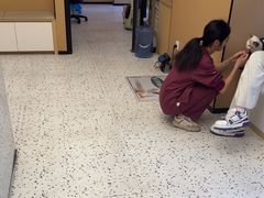 -瑞派康怡24h宠物医院·犬猫医疗中心·微创绝育(瑞景分院)