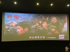 -寰映影城(大融城激光IMAX店)