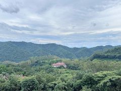 -雁南飞茶田景区