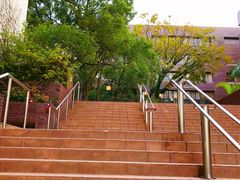 -香港大学