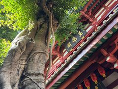 -叩齿古寺