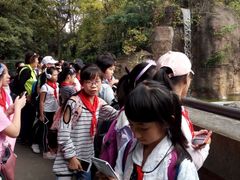 -野生动物园-停车场