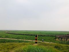 -鄱阳湖国家湿地公园