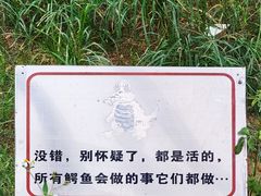 -南宁市动物园