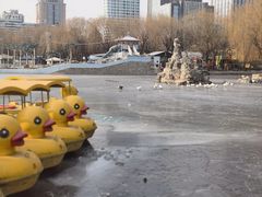 -团结湖公园
