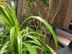 -半秋山西餐厅(襄阳万达店)