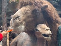 -长鹿旅游休博园