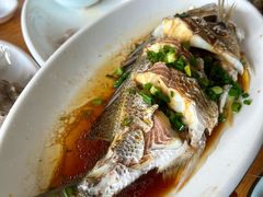-金海湾海鲜排档(朱家尖店)