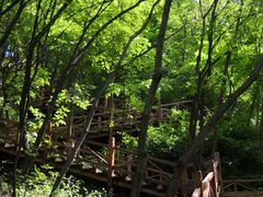 -大岭沟猕猴桃谷风景区