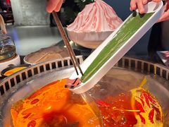 -辣伍鲜毛肚老火锅(元一店)