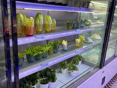 自助取餐区-澜悦港海鲜体验主题餐厅