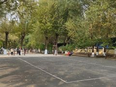 -靖宇公园