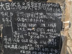 -大自然农场蔬菜草莓采摘园