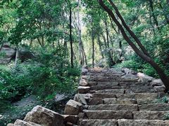 -大岭沟猕猴桃谷风景区