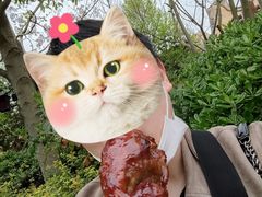 -迪士尼火鸡腿