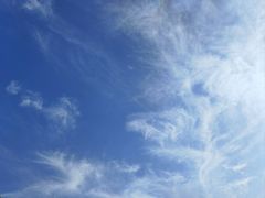 -王顺山国家森林公园