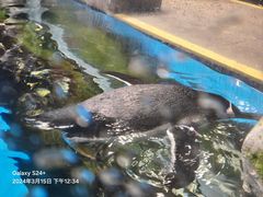 -香港海洋公园
