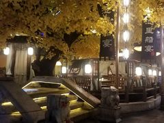 -淀里船宴(裕华东路店)