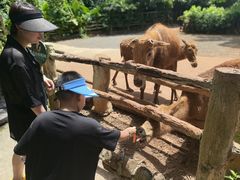 -海南热带野生动植物园
