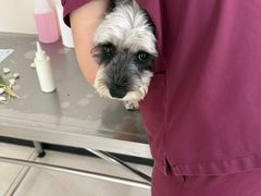 -美联众合动物医院·24h京西诊疗中心