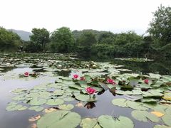 -白马涧龙池景区
