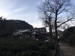 -龙井村