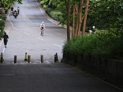 -西湖风景区-江洋畈生态公园