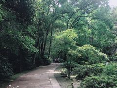 -杭州海华满陇度假酒店