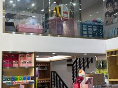 -钦宠·猫咪售卖·洗护·寄养(东圃旗舰店)