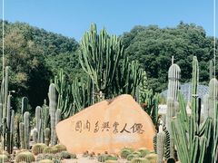 -深圳仙湖植物园