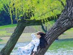 -上海共青森林公园