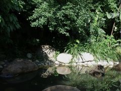 -成都市活水公园