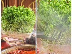 -谭鸭血老火锅(漳州路店)