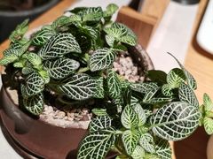 竹里馆自己茶-竹里馆·淮扬菜·功夫茶(老门东店)