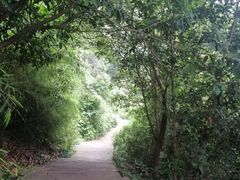 -紫金山山顶公园